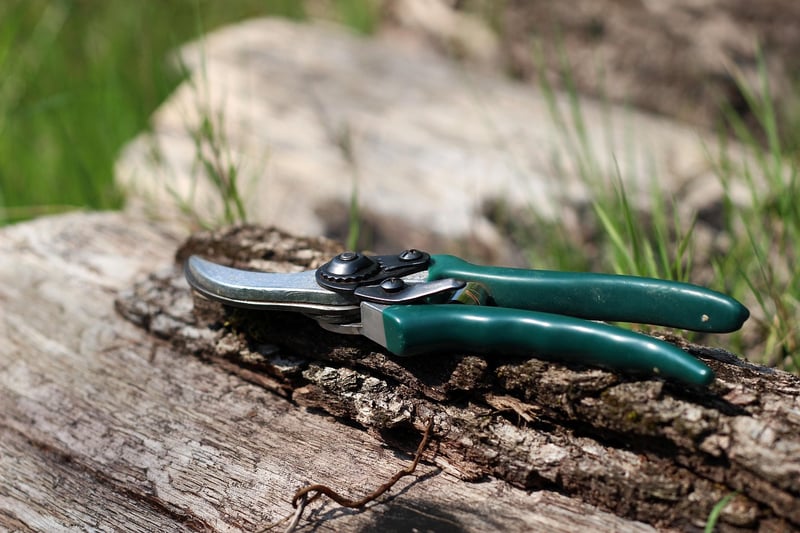 Wizard's Pruning Shears